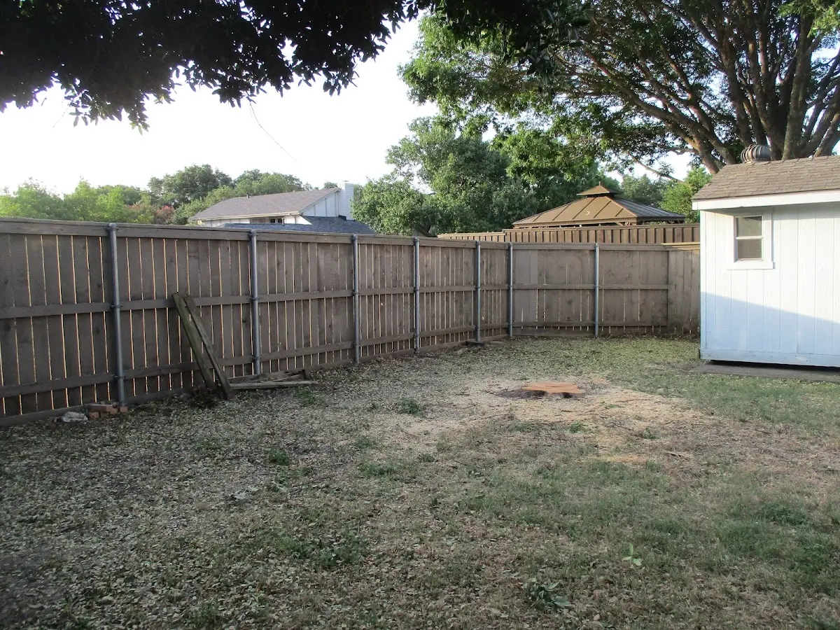 Cleared yard after professional tree removal in New Madison