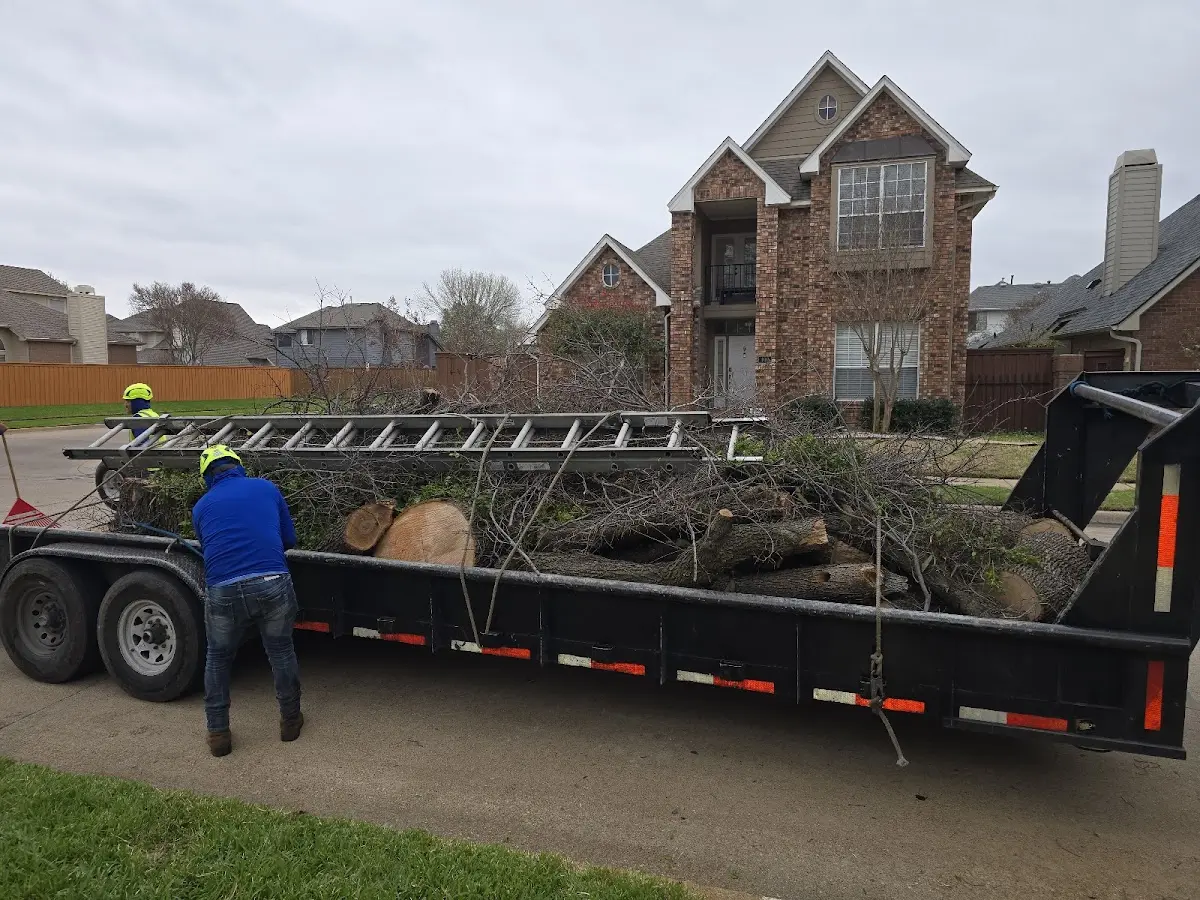 Expert Tree Pest Control with proper safety equipment in New Madison